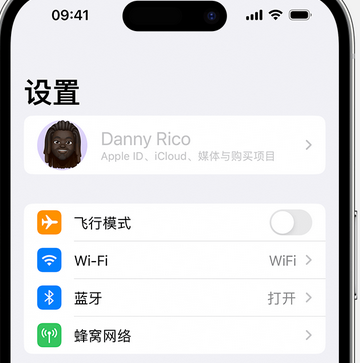 灵宝appleID维修服务iPhone设置中Apple ID显示为灰色无法使用