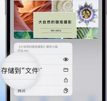 灵宝apple维修中心分享iPhone文件应用中存储和找到下载文件