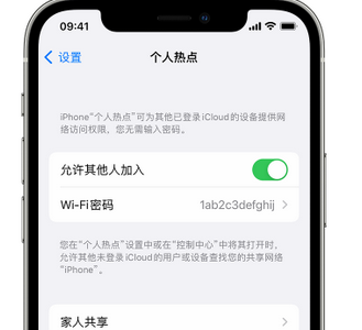 灵宝apple服务站点分享iPhone上个人热点丢失了怎么办 