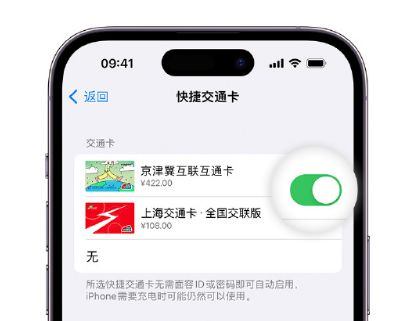 灵宝apple维修点分享iPhone上更换Apple Pay快捷交通卡手绘卡面 