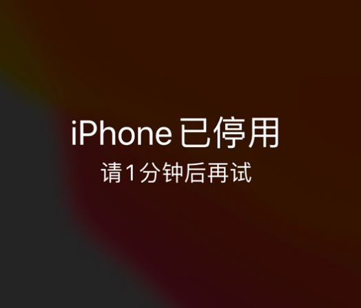 灵宝苹果手机维修分享:iPhone 显示“不可用”或“已停用”怎么办？还能保留数据吗？ 