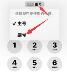 灵宝苹果14维修店分享iPhone 14 Pro Max使用副卡打电话的方法 