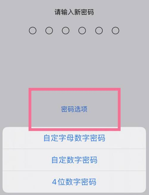 灵宝苹果14维修分享iPhone 14plus设置密码的方法 