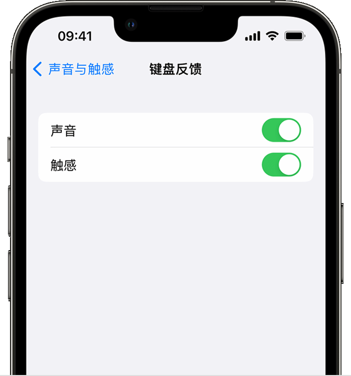 灵宝苹果14维修分享iPhone 14 系列机型如何开启键盘声音或触感反馈 