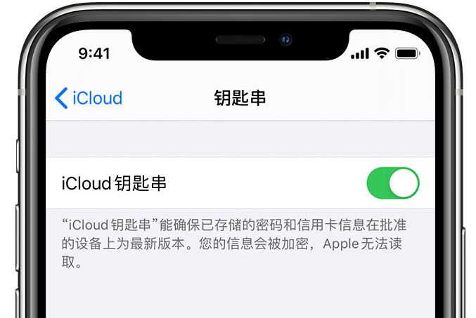 灵宝苹果手机维修分享在 iPhone 上开启 iCloud 钥匙串之后会储存哪些信息 