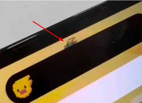 灵宝苹果14维修分享iPhone 14 Pro Max灵动岛怎么养宠物 