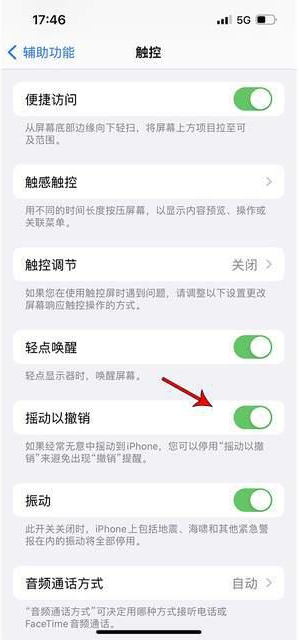 灵宝苹果手机维修分享iPhone手机如何设置摇一摇删除文字 