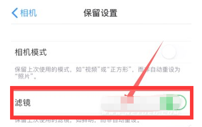 灵宝苹果13维修分享iPhone13拍照有绿点是怎么回事 