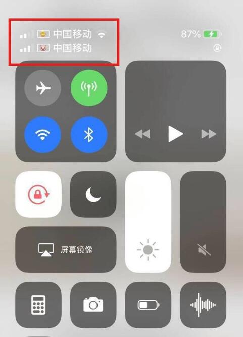 灵宝苹果手机维修分享为 iPhone 12 双卡设置标签 